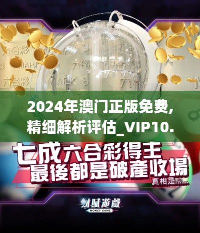 2024年澳门正版免费,精细解析评估_VIP10.274