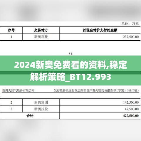 2024新奥免费看的资料,稳定解析策略_BT12.993