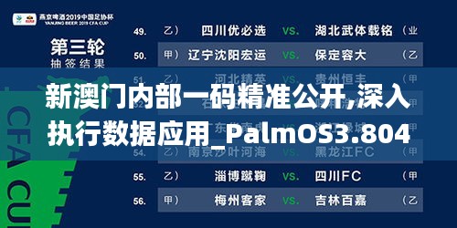 新澳门内部一码精准公开,深入执行数据应用_PalmOS3.804