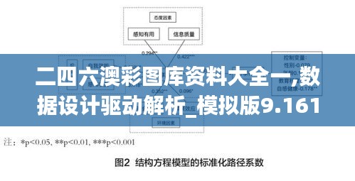 二四六澳彩图库资料大全一,数据设计驱动解析_模拟版9.161