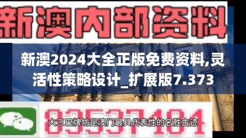 新澳2024大全正版免费资料,灵活性策略设计_扩展版7.373