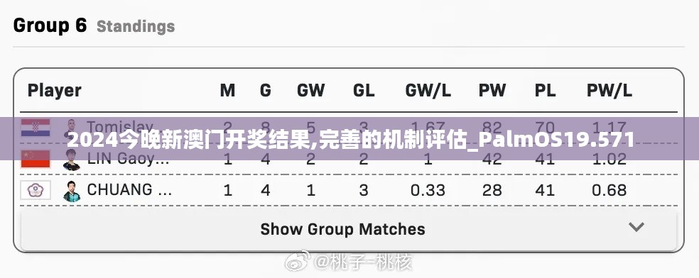 2024今晚新澳门开奖结果,完善的机制评估_PalmOS19.571