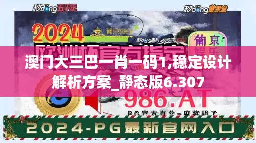 澳门大三巴一肖一码1,稳定设计解析方案_静态版6.307