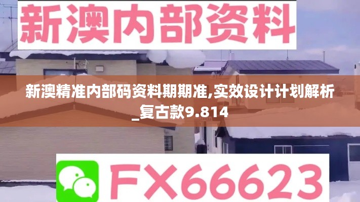 新澳精准内部码资料期期准,实效设计计划解析_复古款9.814