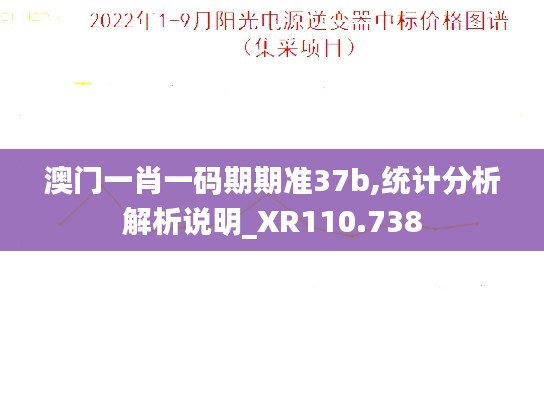 澳门一肖一码期期准37b,统计分析解析说明_XR110.738