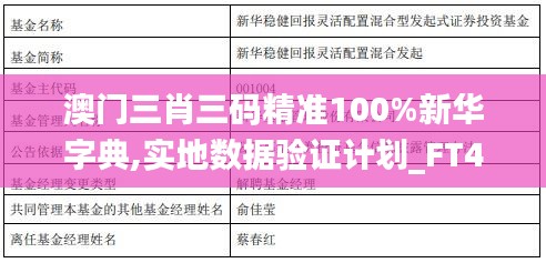 澳门三肖三码精准100%新华字典,实地数据验证计划_FT4.530