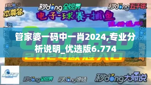 管家婆一码中一肖2024,专业分析说明_优选版6.774