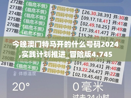 今晚澳门特马开的什么号码2024,实践计划推进_冒险版4.745