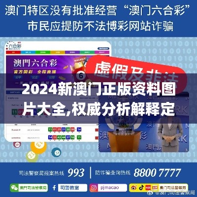 2024新澳门正版资料图片大全,权威分析解释定义_微型版8.699