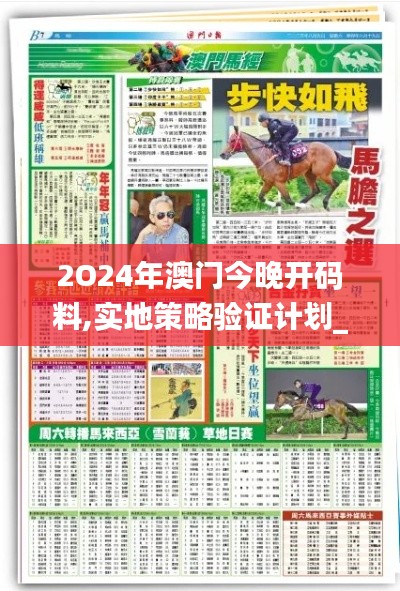 2O24年澳门今晚开码料,实地策略验证计划_经典版9.752