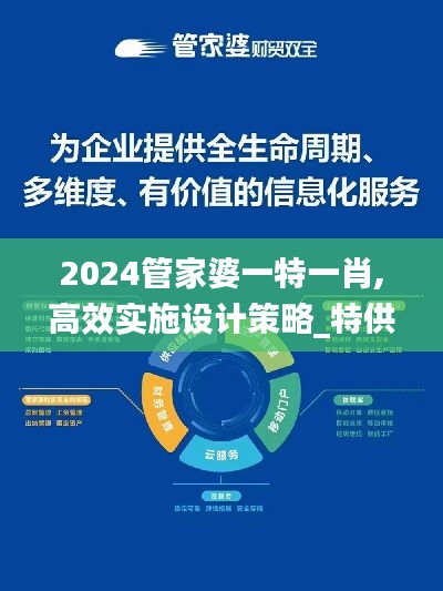 2024管家婆一特一肖,高效实施设计策略_特供版3.843