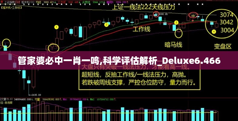 管家婆必中一肖一鸣,科学评估解析_Deluxe6.466