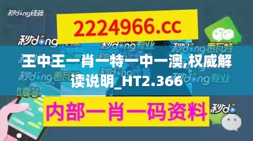 王中王一肖一特一中一澳,权威解读说明_HT2.366