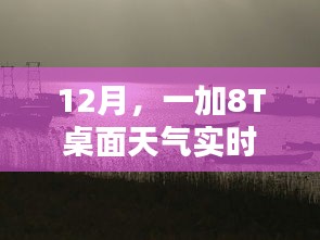 12月，一加8T桌面天气智能实时更新，开启智能生活贴心提醒时代