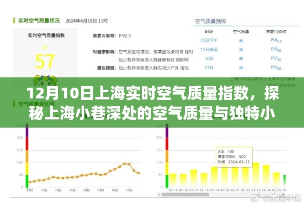 上海空气质量实时报告，小巷深处的独特小店与呼吸之旅