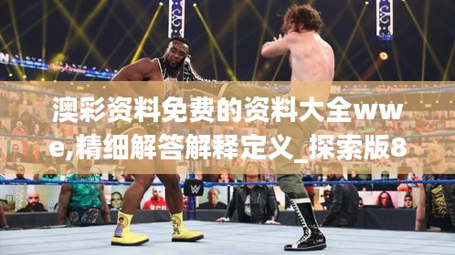 澳彩资料免费的资料大全wwe,精细解答解释定义_探索版8.461