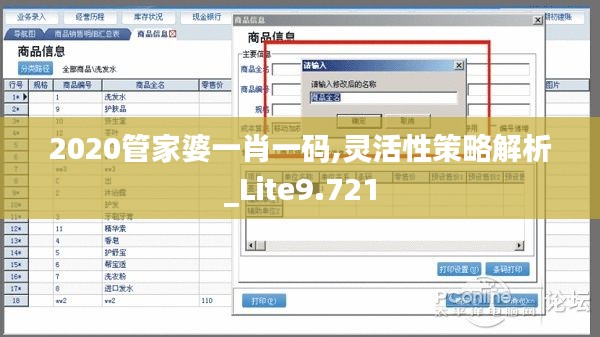 2020管家婆一肖一码,灵活性策略解析_Lite9.721