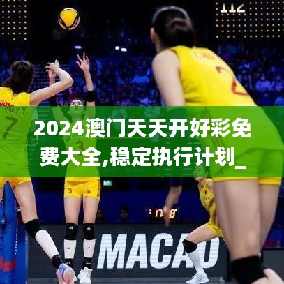 2024澳门天天开好彩免费大全,稳定执行计划_4DM10.268