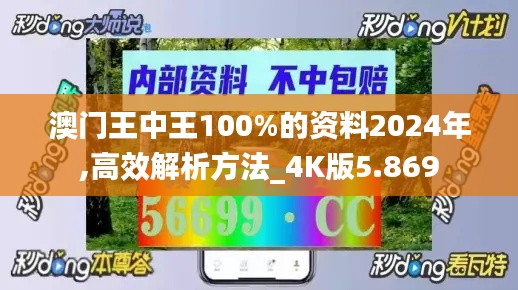 澳门王中王100%的资料2024年,高效解析方法_4K版5.869