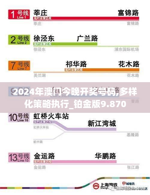 2024年澳门今晚开奖号码,多样化策略执行_铂金版9.870