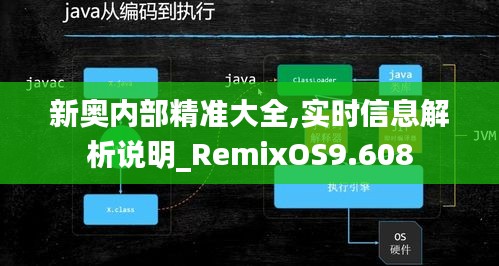 新奥内部精准大全,实时信息解析说明_RemixOS9.608