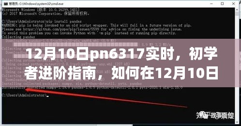 初学者进阶指南，如何在12月10日利用pn6317完成实时任务攻略