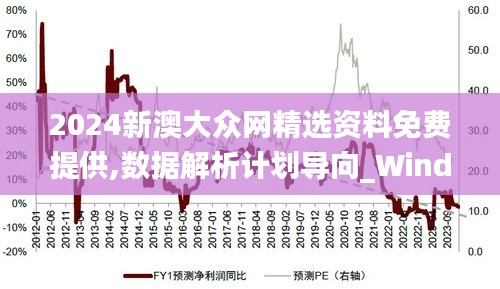 2024新澳大众网精选资料免费提供,数据解析计划导向_Windows110.212