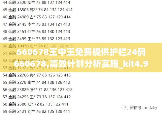 660678王中王免费提供护栏24码660678,高效计划分析实施_kit4.947