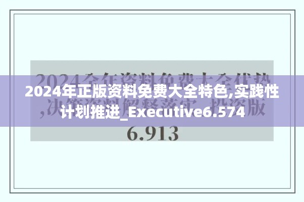 2024年正版资料免费大全特色,实践性计划推进_Executive6.574