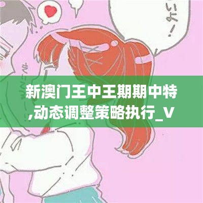 新澳门王中王期期中特,动态调整策略执行_V210.521