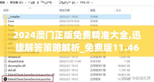 2024澳门正版免费精准大全,迅捷解答策略解析_免费版11.465