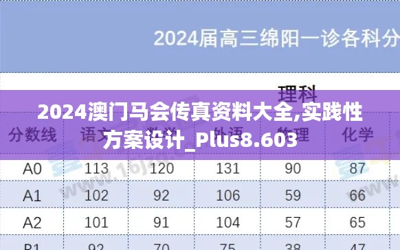 2024澳门马会传真资料大全,实践性方案设计_Plus8.603