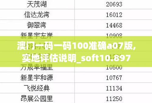 澳门一码一码100准确a07版,实地评估说明_soft10.897