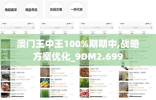 澳门王中王100%期期中,战略方案优化_9DM2.699