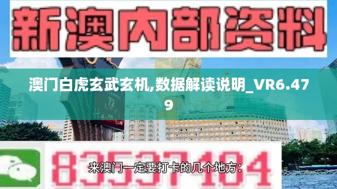 澳门白虎玄武玄机,数据解读说明_VR6.479