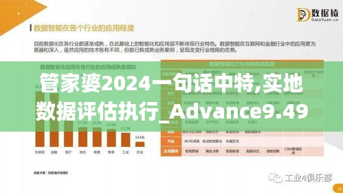 管家婆2024一句话中特,实地数据评估执行_Advance9.492