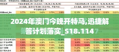 2024年澳门今晚开特马,迅捷解答计划落实_S18.114