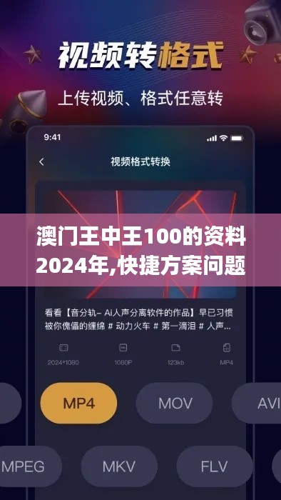 澳门王中王100的资料2024年,快捷方案问题解决_AR版1.415