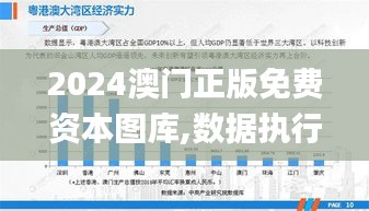 2024澳门正版免费资本图库,数据执行驱动决策_WP版10.574