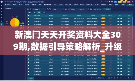 新澳门天天开奖资料大全309期,数据引导策略解析_升级版10.217
