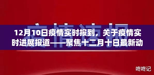 12月10日疫情实时进展报道，最新动态与防控聚焦