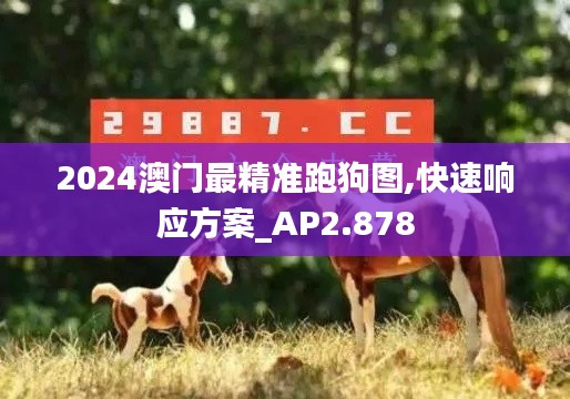 2024澳门最精准跑狗图,快速响应方案_AP2.878