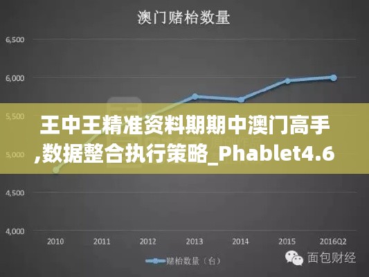 王中王精准资料期期中澳门高手,数据整合执行策略_Phablet4.674