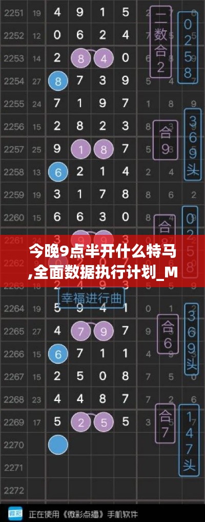 今晚9点半开什么特马,全面数据执行计划_MP6.494