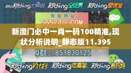 新澳门必中一肖一码100精准,现状分析说明_静态版11.395