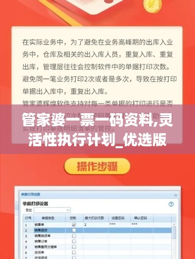 管家婆一票一码资料,灵活性执行计划_优选版6.458