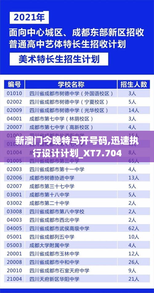 新澳门今晚特马开号码,迅速执行设计计划_XT7.704