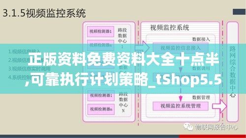 正版资料免费资料大全十点半,可靠执行计划策略_tShop5.592