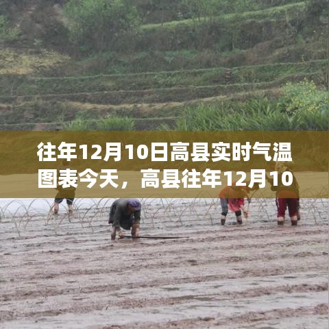 高县历年12月10日实时气温图表回顾与洞察，今日气温趋势分析