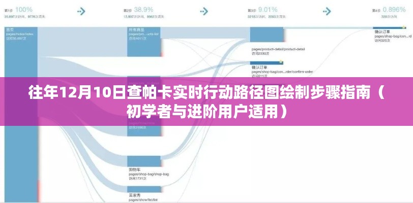 查帕卡实时行动路径图绘制指南，适用于初学者与进阶用户的详细步骤（每年12月10日更新）